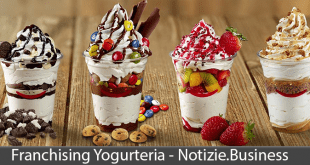 franchising yogurteria