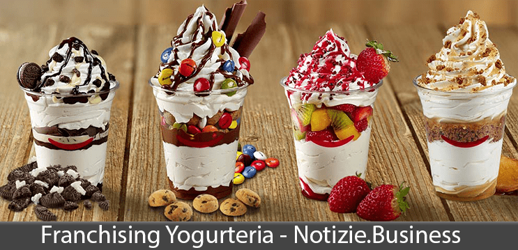 franchising yogurteria