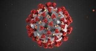 coronavirus marketing