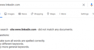 LinkedIn Search