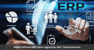 software business plan italiano