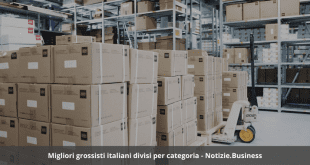 Migliori grossisti italiani divisi per categoria